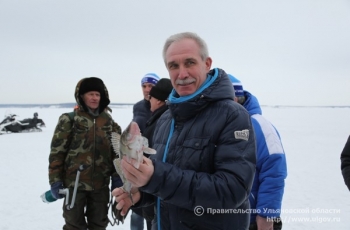 Правительственная комиссия по вопросам развития рыбоводческой отрасли будет создана в Ульяновской области