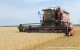 Ульяновские хлеборобы намолотили более миллиона тонн зерна