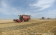 Ульяновские хлеборобы намолотили более миллиона тонн зерна