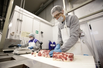 В Ульяновской области запустили линию по производству мясных полуфабрикатов для детского питания