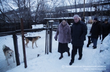 Рабочий визит в организацию по защите животных «Подарок судьбы» 1 февраля.