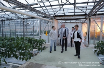 На крупнейшем овощеводческом предприятии Ульяновской области продолжается модернизация производства. С её ходом во время визита на сельхозпредприятие 2 марта ознакомился Губернатор Сергей Морозов.