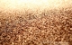 10 марта Губернатор Сергей Морозов осмотрел предприятие по переработке зерна и гречневой крупы ИП Каюмова Н.К. в Чердаклинском районе, а также обсудил с аграриями ряд вопросов развития АПК региона.