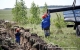 В Радищевском районе ведется замена водопроводных сетей