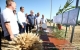 20 июля Губернатор Сергей Морозов осмотрел посевы озимой пшеницы на полях Новоспасского района.