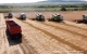 20 июля Губернатор Сергей Морозов осмотрел посевы озимой пшеницы на полях Новоспасского района.