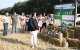 Миллион тонн зерна собрали аграрии Ульяновской области