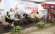 В Ульяновской области обсудили стратегию развития отрасли физической культуры и спорта до 2030 года