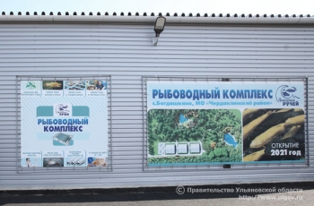 В селе Богдашкино Ульяновской области открылся рыбоводческий комплекс по выращиванию радужной форели