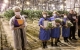 В Ульяновской области АО «Тепличное» за время работы вырастило для населения около полумиллиона тонн овощей