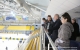 Губернатор Ульяновской области Сергей Морозов утвердил сценарий проведения церемонии открытия чемпионата мира по хоккею с мячом 2016 года