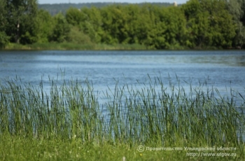Ульяновская область сохранила высокую позицию в экологическом рейтинге регионов России